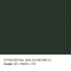 POYESTER RAL 6009 S/G MD1BR (C)